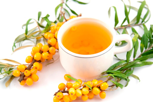 Облепиховый чай: состав, полезные свойства и противопоказания, оригинальный рецепт