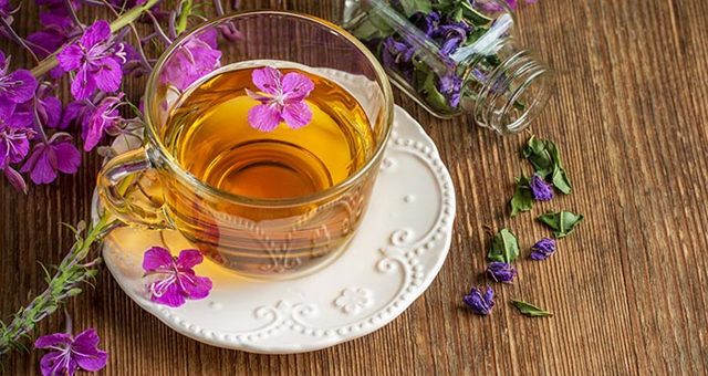 Иван-чай: лекарственные свойства, состав, польза и противопоказания, способы заваривания