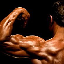 Силовая выносливость, гипертрофия мышц и максимальная сила: особенности тренировки каждого параметра