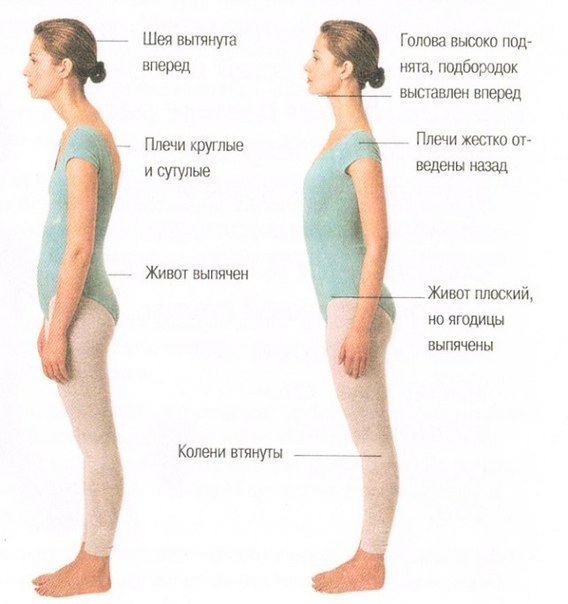 Доктор Бубновский: упражнения для похудения живота, основы методики