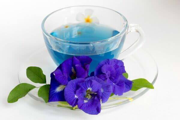 Синий чай: особенности производства, полезные свойства, вред и противопоказания