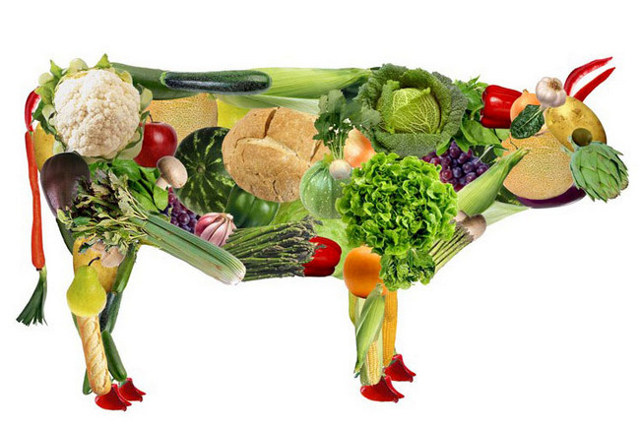 Чем заменить мясо в питании при вегетарианстве: подходы, полноценный рацион
