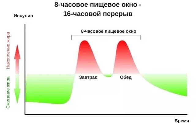 Диета 16/8: основы методики, преимущества и недостатки, основные правила