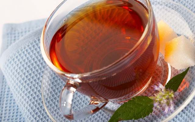 Курильский чай: полезные свойства и вред, противопоказания, как правильно заваривать