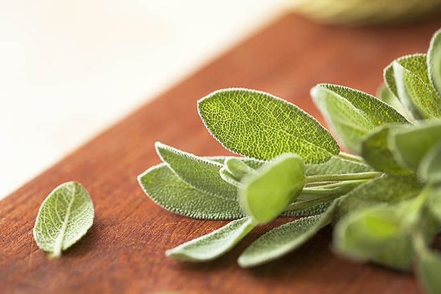 Травяной чай: польза и вред, лекарственные травы и способы их заваривания