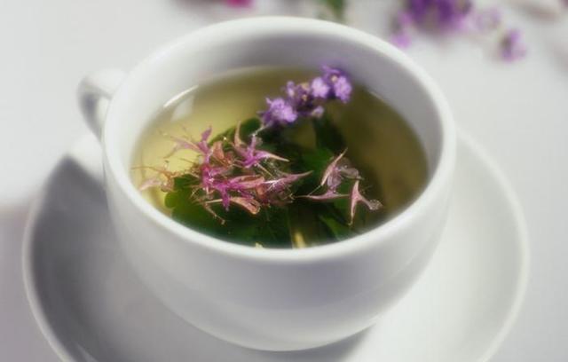 Копорский чай: состав, польза и вред, противопоказания, особенности заваривания