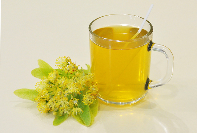 Липовый чай: состав целебного напитка, польза и вред, особенности заваривания