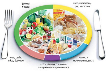 Правильное питание: меню на каждый день, основные принципы, рецепты