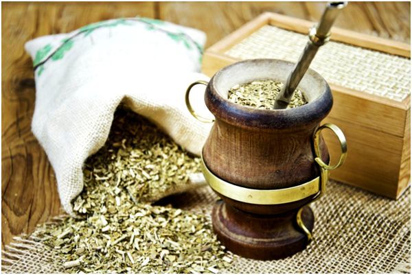 Чай мате: состав напитка, история, польза и вред, как правильно заваривать чай