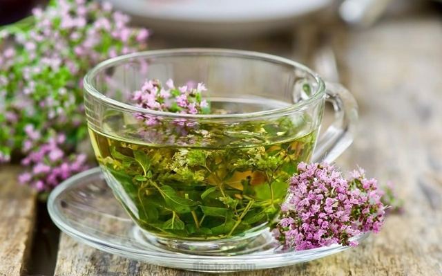 Чай с чабрецом: полезные свойства и противопоказания, лучшие рецепты заваривания