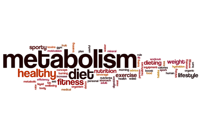 Метаболическая диета: особенности, правила проведения, этапы
