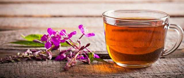 Как собирать иван-чай: заготовки в домашних условиях, рекомендации и полезные советы